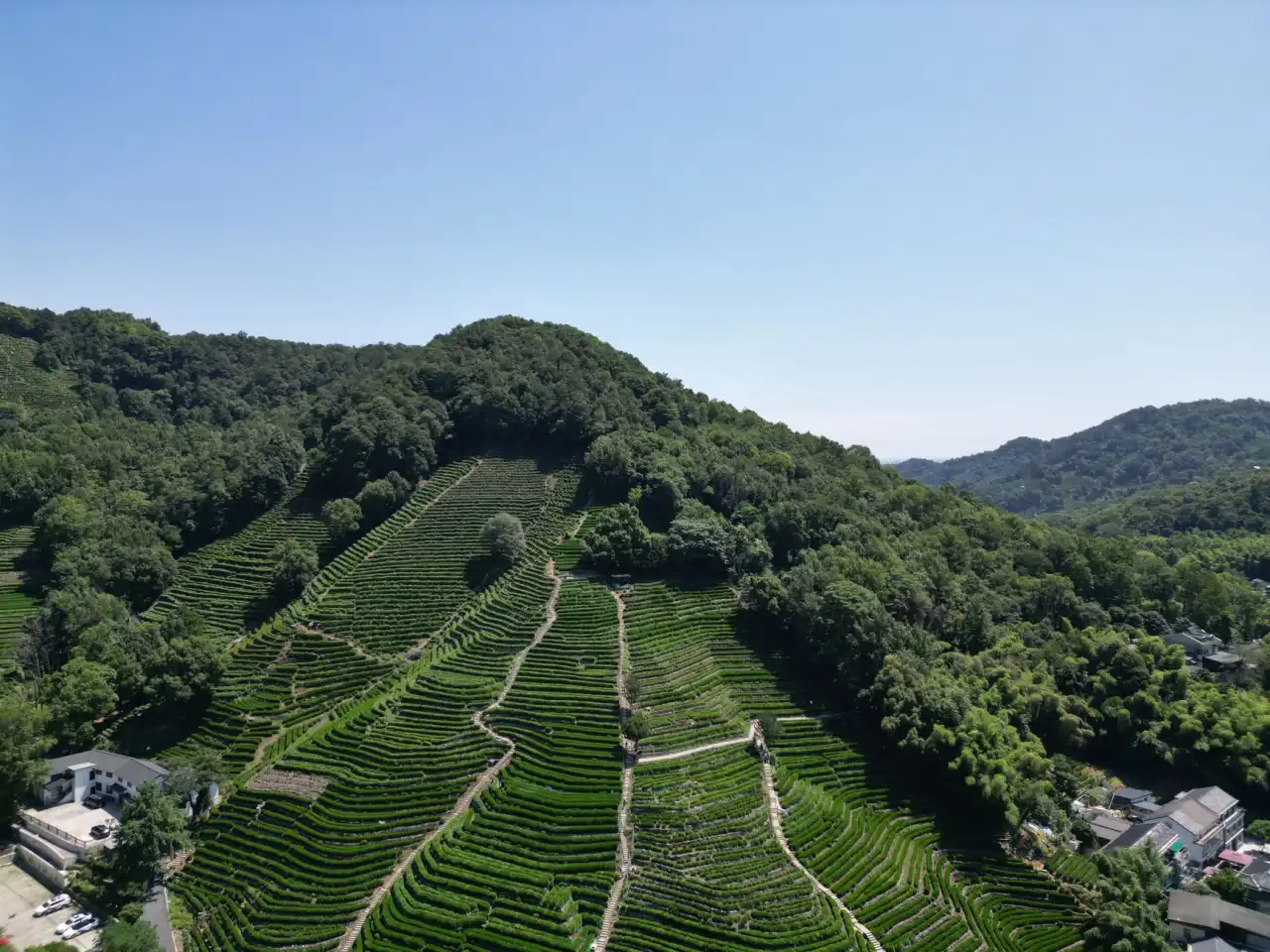 社区团购物流配送体系优化：重庆送到家冷链直配方案解析