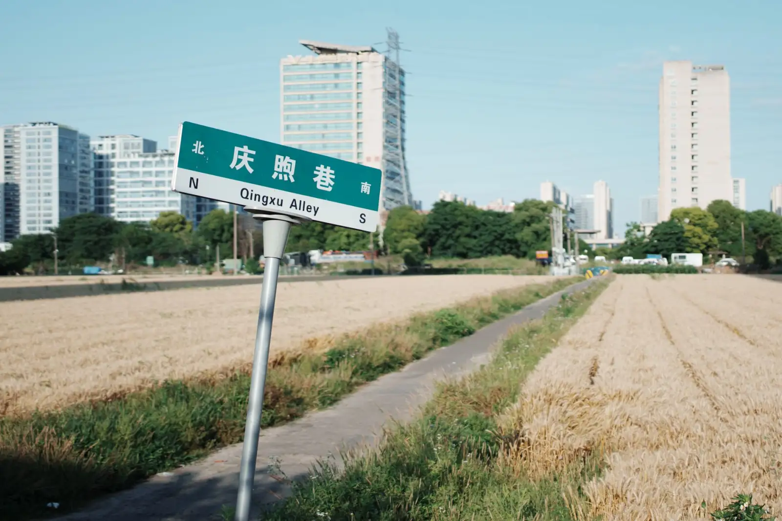 生鲜电商平台产品体系构建：从产地直供到社区团购的完整链路解析