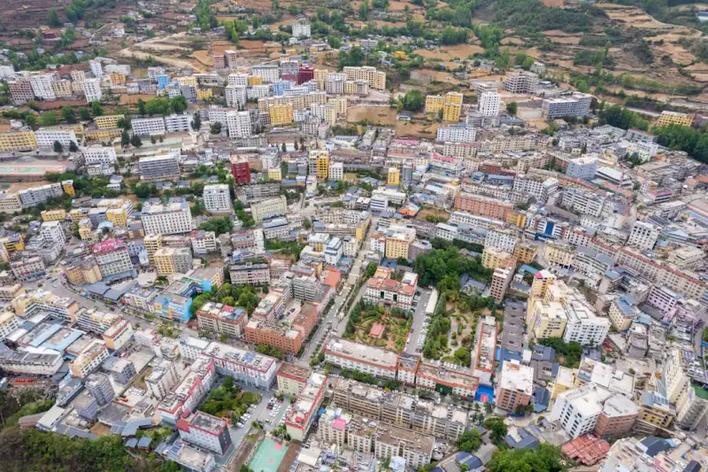 从产地到餐桌：社区团购平台如何推动农产品直供模式标准化升级