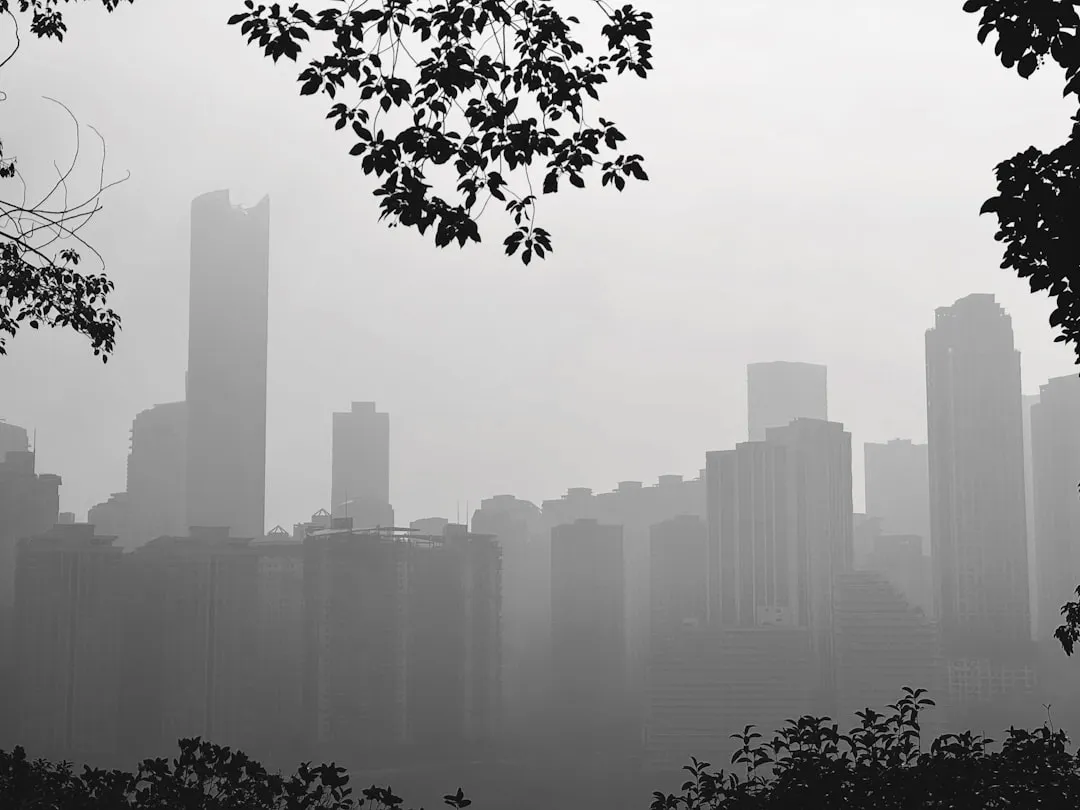 重庆送到家产地直供生鲜电商平台产品供应链技术解析